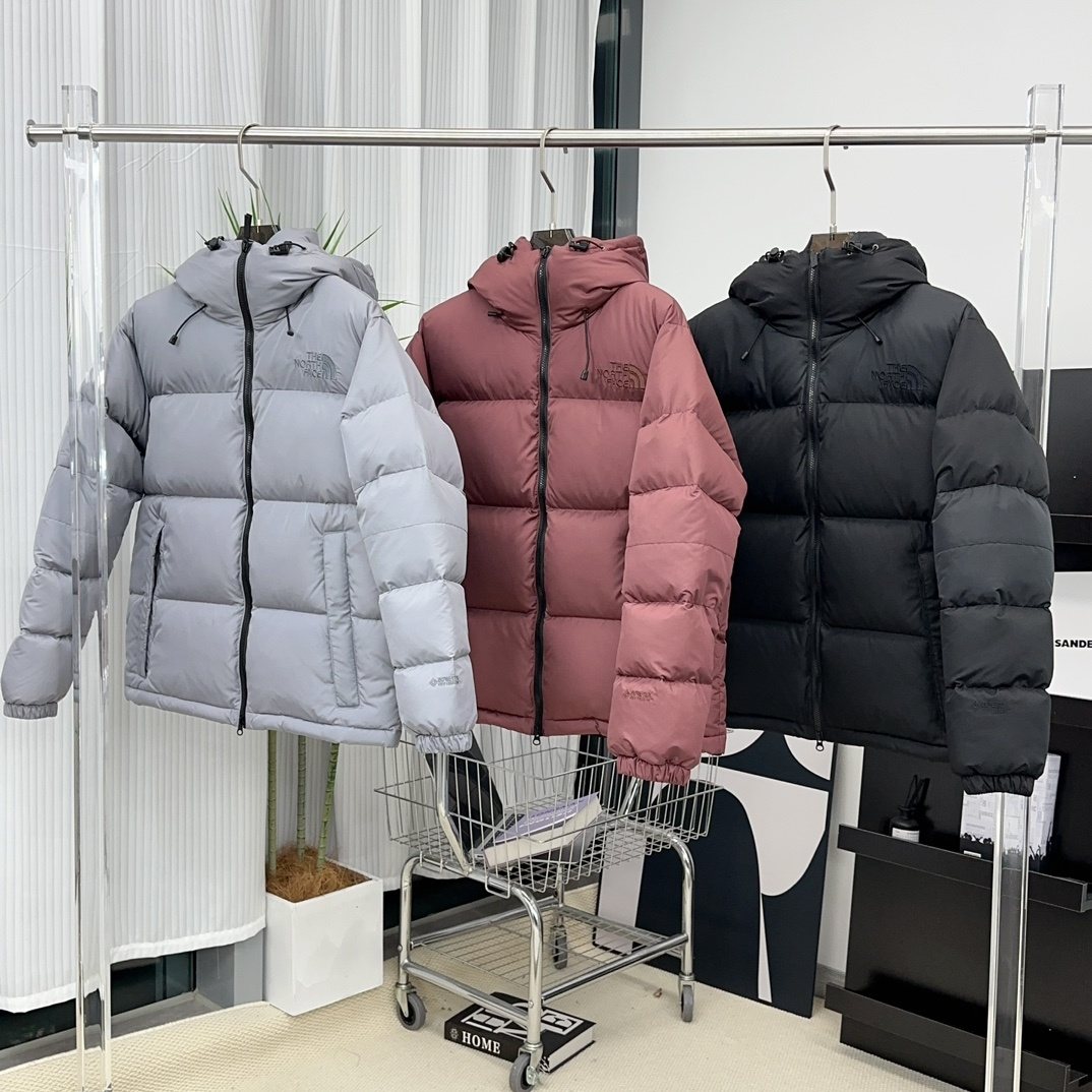 The North Face Hooded Puffer Jacket