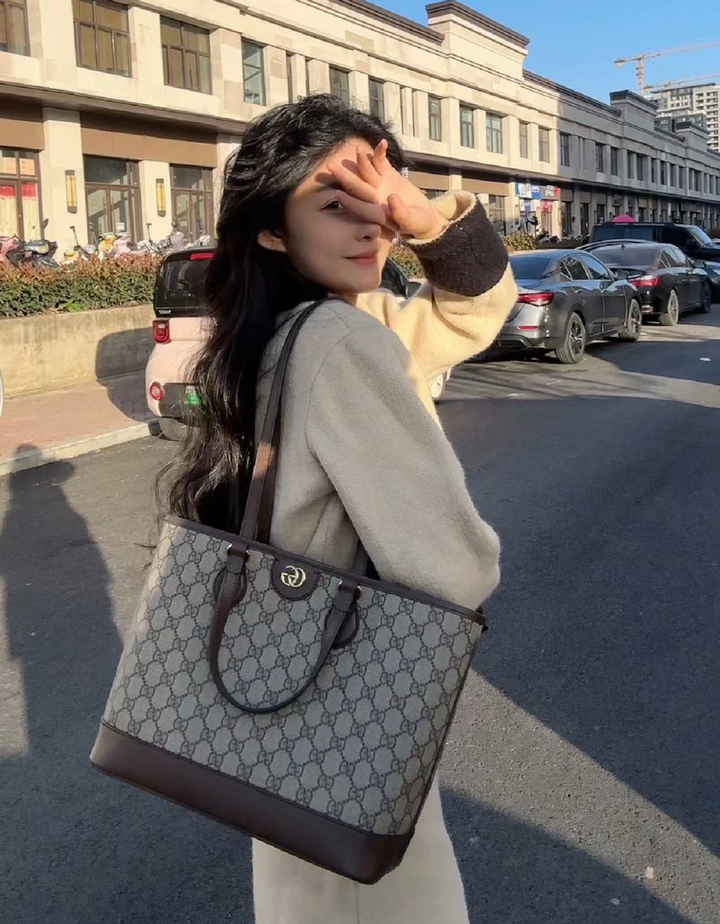 Gucci GG Ophidia Small Tote Bag ¨C 765043